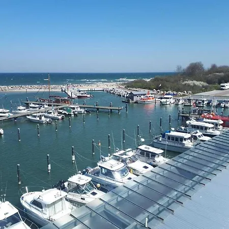 Daire Kornblume Zirkow