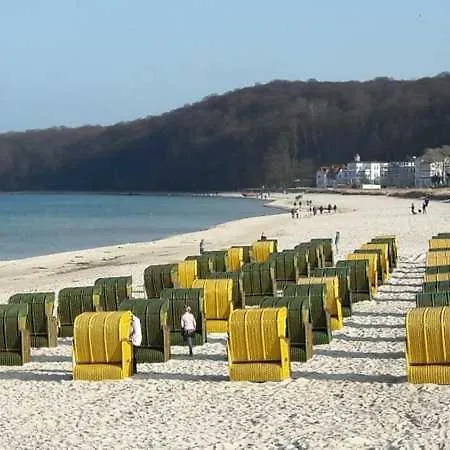 Kornblume Daire Zirkow