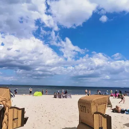 Kornblume Daire Zirkow