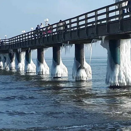 Daire Kornblume Zirkow